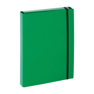 PAGNA Sammelbox Basic - A4, Gummizug, Karton, grün