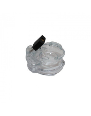 The Vice Cage de chasteté Micro - Transparent