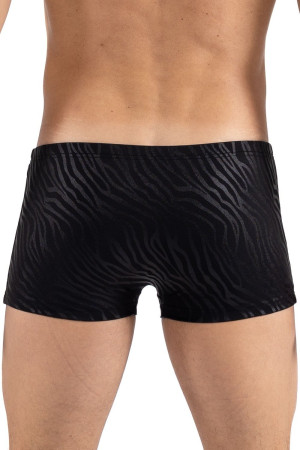 Look Me Boxer noir & gold Zebra Black/Zébré Gold