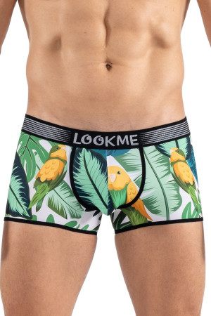 Look Me Boxer imprimé oiseau chanteur, Bird Singer Imprimé Oiseau