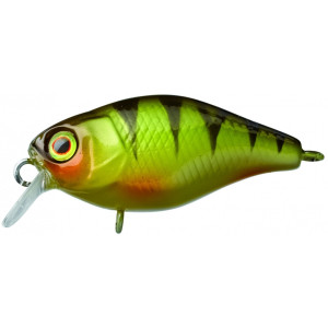 Illex Chubby 38 Perch