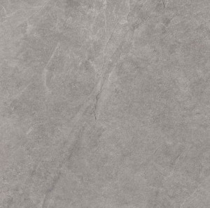 Ceramica Limone Ash Silver Mat 59,7 x 59,7 x 2 cm - płytka gresowa tarasowa szary ASH0008