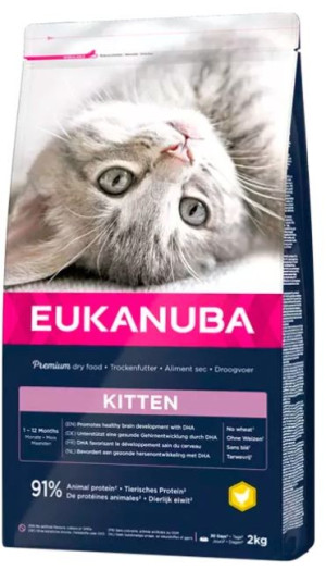 Eukanuba Kitten para Gatitos 10 Kg