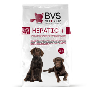 BVS Vet Shop Diet Hepatic Plus 3 Kg Blanco