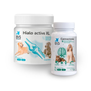 Pack Cannacronic + Hialo Active XL BVS