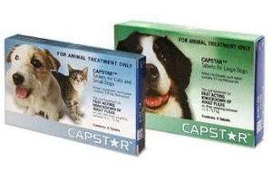 Elanco Capstar 11.4 mg 6 comprimidos