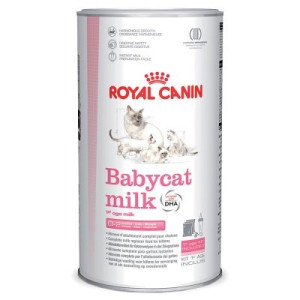 Royal Canin BabyCat Milk 300 gr