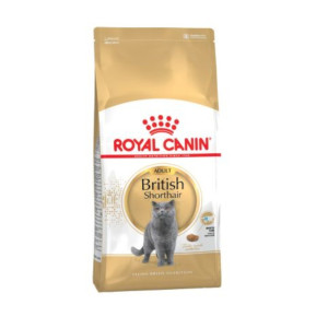 Royal Canin Gato British Shorthair 10 Kg