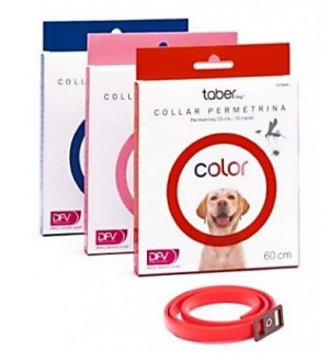 Divasa Collar Taberdog 60 cm