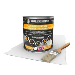 Abdichtung - HSS Flüssigkunststoff-Set - weiß - 1kg m. Vlies 2m x 52,5cm weiß 1kg m. Vlies 2m x 52,5cm