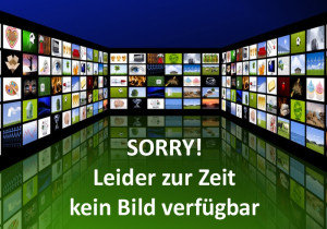 Röben BARI Giebelortgangziegel links anthrazit | Lag.1702165 | Röben Nr.: 805080