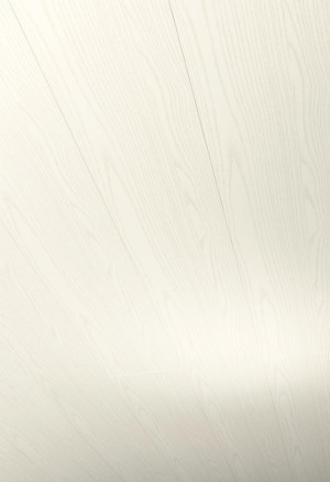 Parador Paneele RapidoClick Esche Weiss geplankt Dekor (1602445) | Abmessung (LxBxH): 3300x223x12 mm | Fugenbild: Design-Fuge