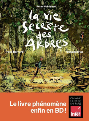 Les Arènes BD La vie secrète des arbres