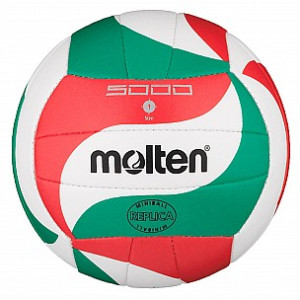 Molten Volleyball Mini V1M300