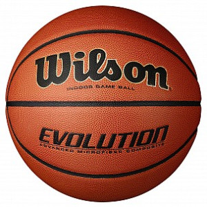 Wilson Evolution Basketball 7