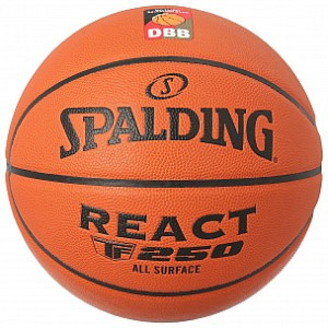 Spalding Basketball TF 250 DBB 6