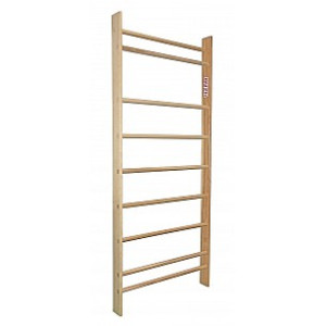 Benz Heimsprossenwand starr 100 x 240 cm