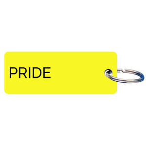 Schlüsselanhänger aus Kunststoff PRIDE