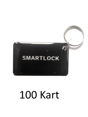 Zestaw kart zbliżeniowych do zamka TTL (100 szt.)