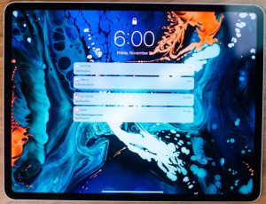 Apple iPad Pro 12.9" 3rd Gen 64GB Space Gray