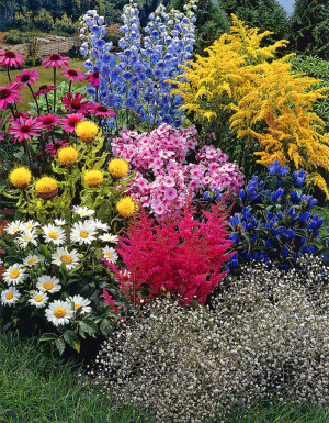 [Zestaw]  'Summer Collections' 5 szt.