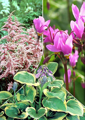 [Zestaw]  'Kwiatowa delikatność' 5 szt.