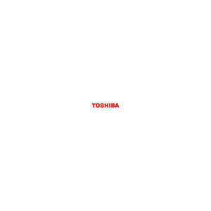 IBM / Toshiba VESA Adapter Kit