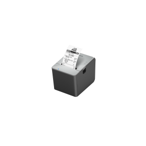 Epson TM-L100