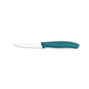 Nóż do warzyw i owoców Victorinox 6.7604.C1 - 8 cm prosty zielony