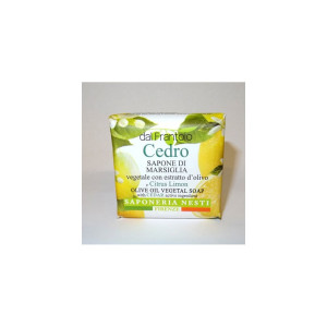 Nesti Dante Cedro Soap 100g