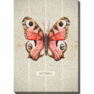 Obraz 40x50 cm - Motyl książkowy