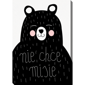 Obraz 40x60 cm - Nie chce misie