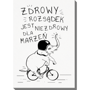 Obraz 40x60 cm - Zdrowy rozsądek
