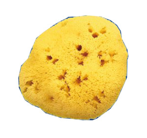 farmacare SPUGNA NAT FORI L 11/12CM 8