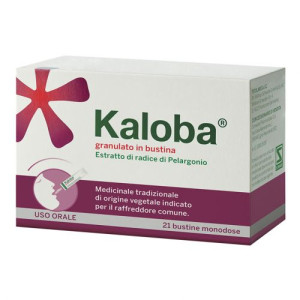 Schwabe Pharma Italia Kaloba Granulato 21 Bustine 800mg