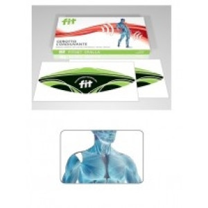 D.Fenstec srl Semplificata Fit Cerotto Spalla 8 pz