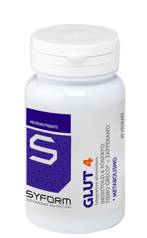 Syform GLUT4