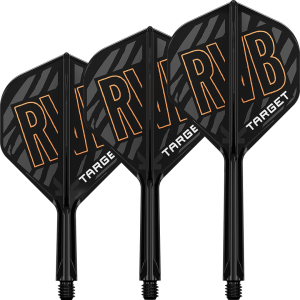 Target K-Flex Raymond van Barneveld NO2 Intermediate - Dart Flights