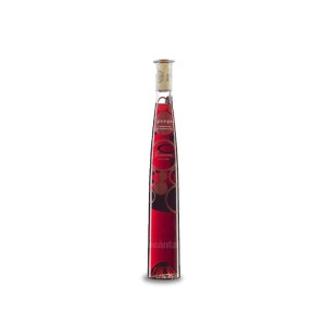 Gramona Gra a Gra Pinot Noir 37,5 cl. (3/8) 2012 - 37,5cl (3/8)