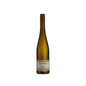 A.J. Adam A. J. Adam Dhroner Riesling Trocken 2022 - 75cl