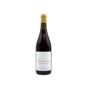 Dominó Samarra 2021 - 75cl