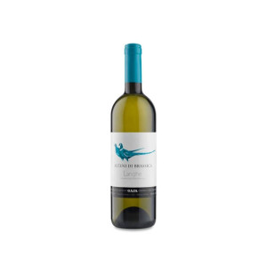 Angelo Gaja Gaja Alteni di Brassica 2022 - 75cl