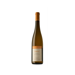 Domaine de Bellivière Calligramme Sec 2020 - 75cl