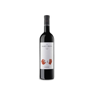 Albet i Noya Reserva Martí 2020 - 75cl