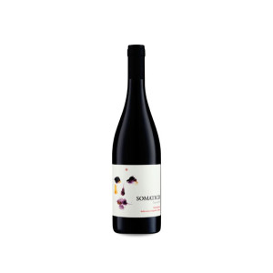 Podere Il Castellaccio Somatico 2022 - 75cl