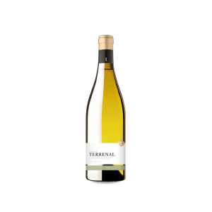 Finca La Terrenal d'Edetària 2021 - 75cl