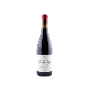 Aseginolaza & Leunda Camino de Santa Zita 2022 - 75cl