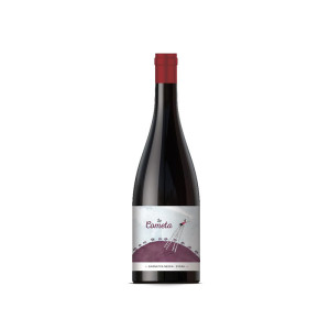 Abanico Lo Cometa Tinto 2023 - 75cl