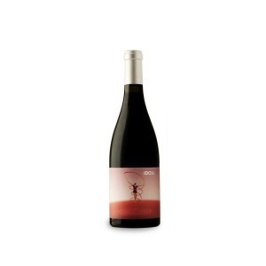 Ca N'Estruc Idoia Negre 2019 - 75cl
