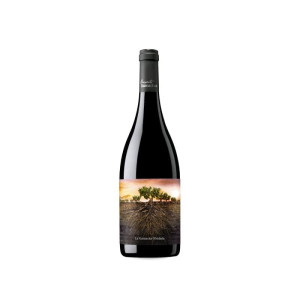 Proyecto Garnachas de España La Garnacha Olvidada de Aragón 2022 - 75cl